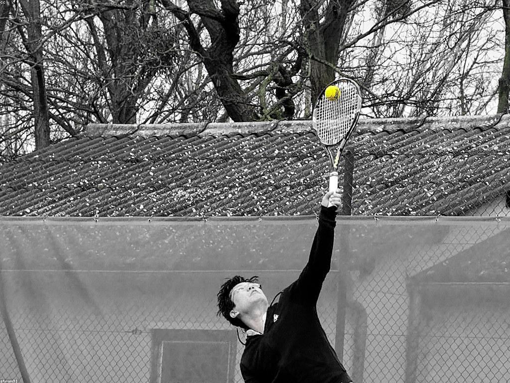 ការវិវត្តន៍នៃសេវាកម្មកីឡា